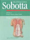 Trunk, viscera, lower limb