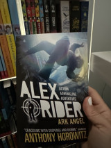 Ark Angel