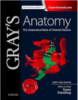 Gray's anatomy: the anatomical basis of clinical practice