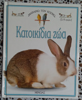 Κατοικίδια ζώα