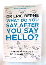 What Do You Say After You Say Hello