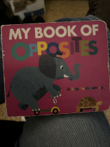 My book of opposites