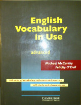 English Vocabulary in Use Advanced