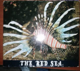The Red Sea