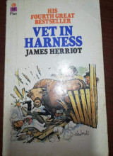 Vet in Harness