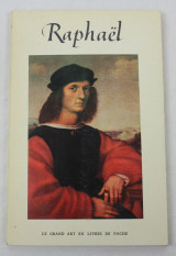 Le grand art en livres de poche raphael (a3) viv