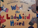 What the Ladybird Heard