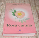 Rosa Canina