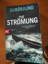 Die Strömung