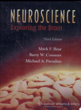 Neuroscience