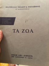 Τα Ζώα (Διδασκαλία Σχεδίου & Ζωγραφικής)