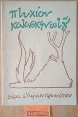 Πτυχίο κατασκηνωτών