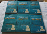 Βάτραχοι Λυσιστράτη θεσμοφοριάζουσαι εκκλησιάζουσαι αχαρνής πλούτος
