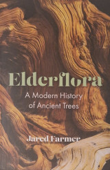 Elderflora