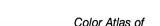 Color Atlas of Aesthetic Surgery of the Abdomen