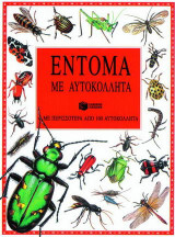 Έντομα