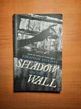Shadow On The Wall