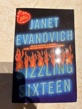 Sizzling Sixteen