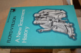 A New Testament History