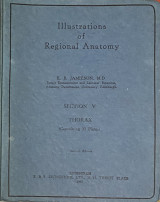 Illustrations of Regional Anatomy - Thorax