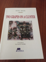 Two grapes on a cluster