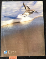 Birds Volume 22 No 2. Abemethy. A climate eye's view. Flamigo. Sciable lapwings, unsociable hours