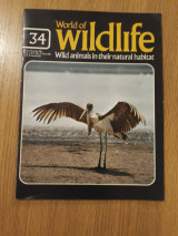 World of wildlife, Vol. 3, Pt. 34
