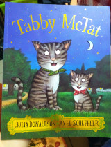 Tabby mctat