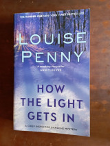How The Light Gets In