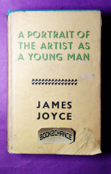 A PORTRAIT OF THE ARTIST AS A YOUNG MAN