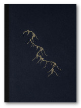 The Splitting of the Chrysalis & the Slow Unfolding of the Wings: & the slow unfolding of the wings
