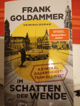 Im schatten der wende