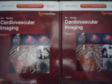 Cardiovascular Imaging: Vascular imaging