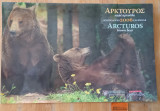 Αρκτούρος καφέ αρκούδα ημερολόγιο 2006 calendar Arcturos brown bear