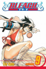 Bleach, Vol. 9 v. 9