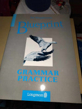 Blueprint Intermediate Grammar Practice