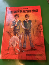 Ένα καταπληκτικό αγόρι