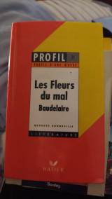 Les fleurs du mal profil d un oeuvre