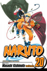 Naruto, Vol. 20 v. 20