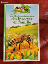 Des insectes en famille