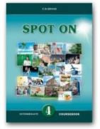 Spot On 4 Intermediate Grammar