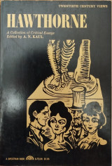 Hawthorne A Collection of Critical Essays