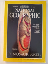 Dinosaur Eggs