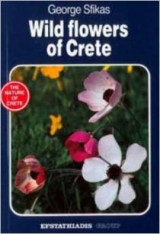 Wild Flowers of Crete