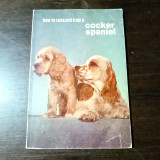 How to Raise and Train a Cocker Spaniel