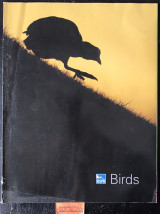 Birds Volume 22 No5. A carpet of geese. The seas around us. Safegauard our Sea Life. Wild cats