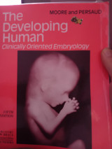 The developing human
