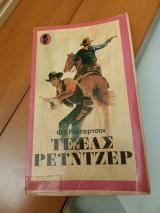 Τέξας Ρέιντζερ