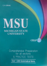 Msu Michigan State University