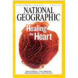 Healing the Heart